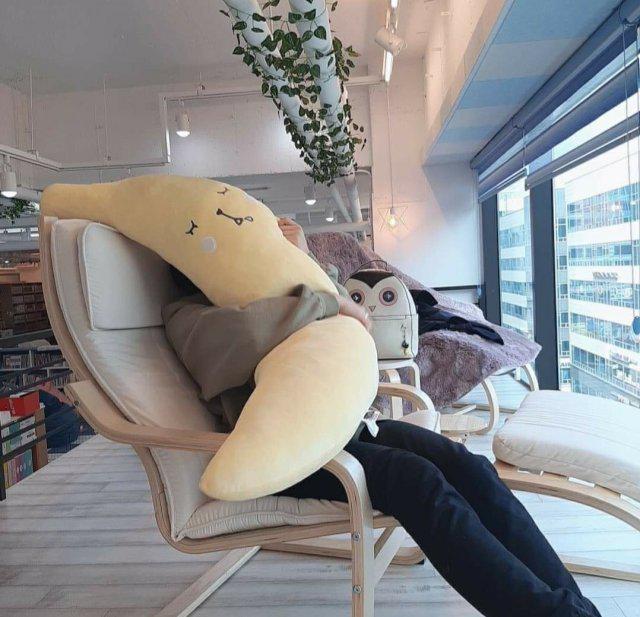 jllov_e 프로필