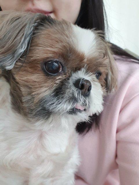 떼또리아 프로필