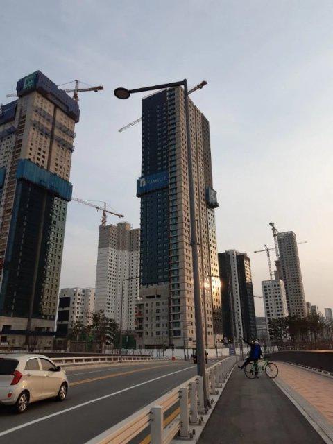 대일리 프로필