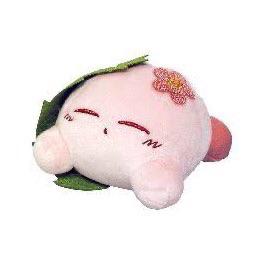 복숭아코코 프로필