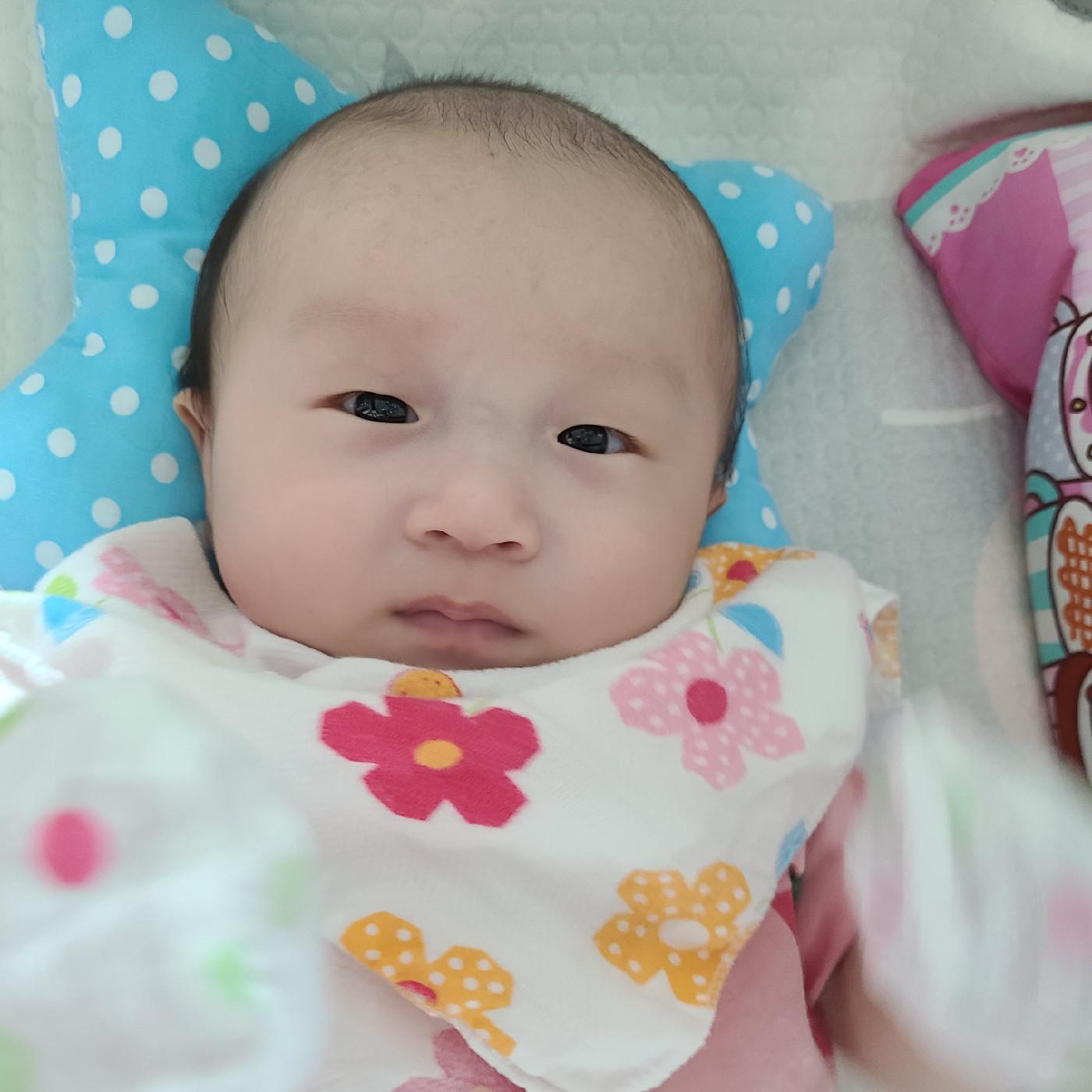 연쭈니맘 프로필
