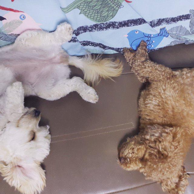 wonder_JYC 프로필