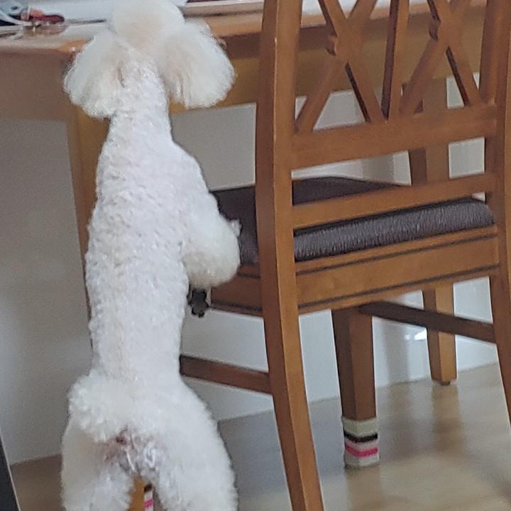 집가다어묵세개 프로필