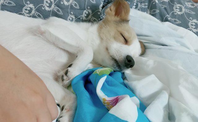 타키이 프로필