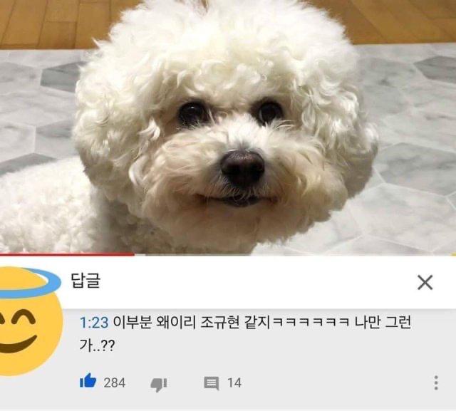 강박 프로필