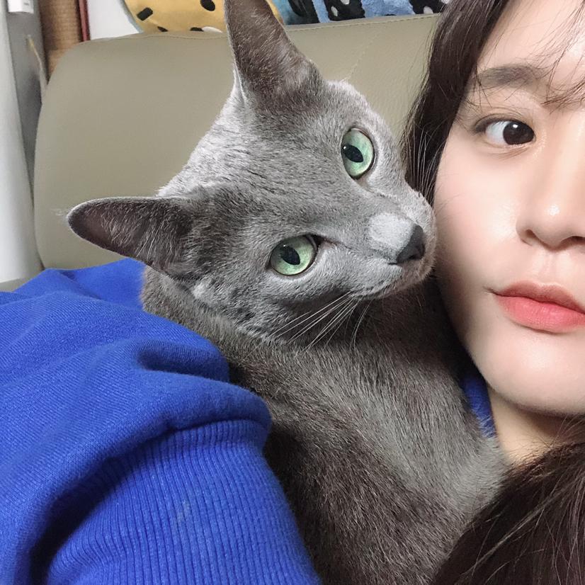 예룽삥뽕 프로필