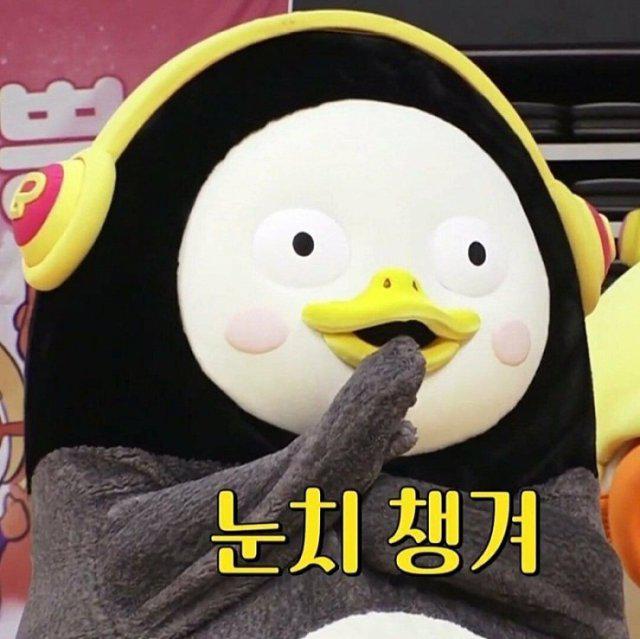 sososp 프로필
