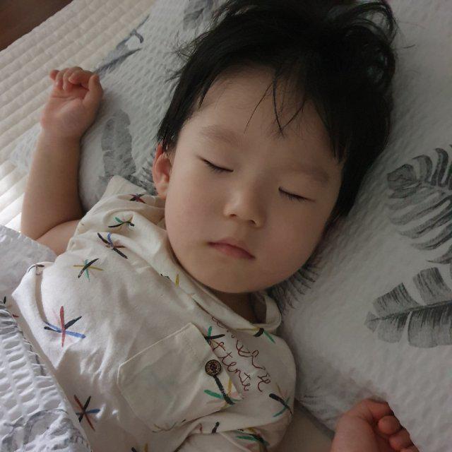 다뉴마미 프로필