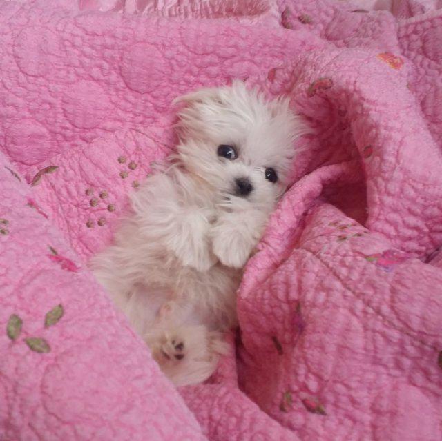 이성아1 프로필