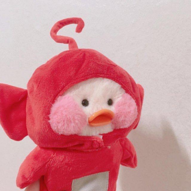 뜨긔 프로필
