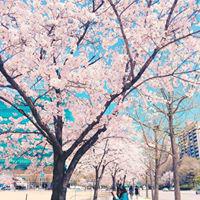 Huuu79 프로필