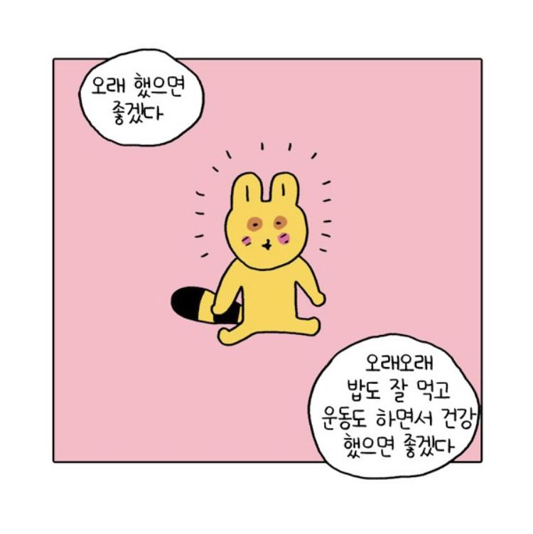서울감자 프로필