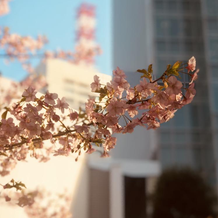 리뷰어 프로필