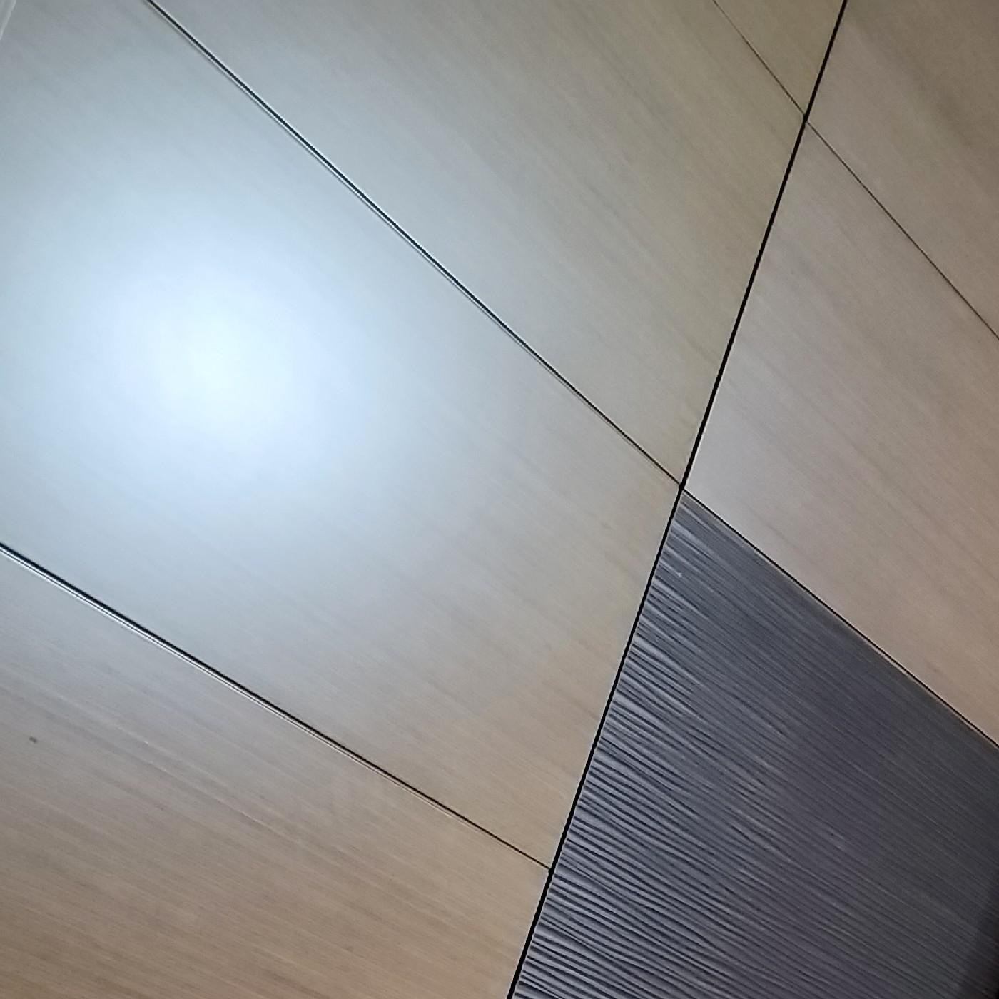 두비두밥오둑이밥 프로필
