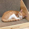 eunju0909