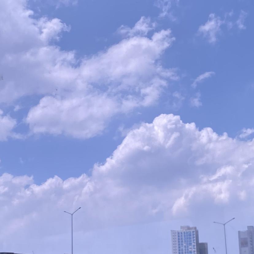 lite 프로필