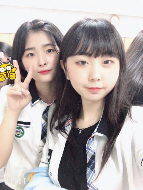 핑크쿠키다 프로필
