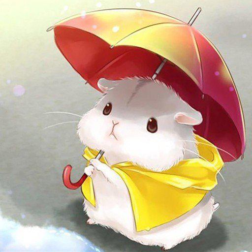 하나- 프로필