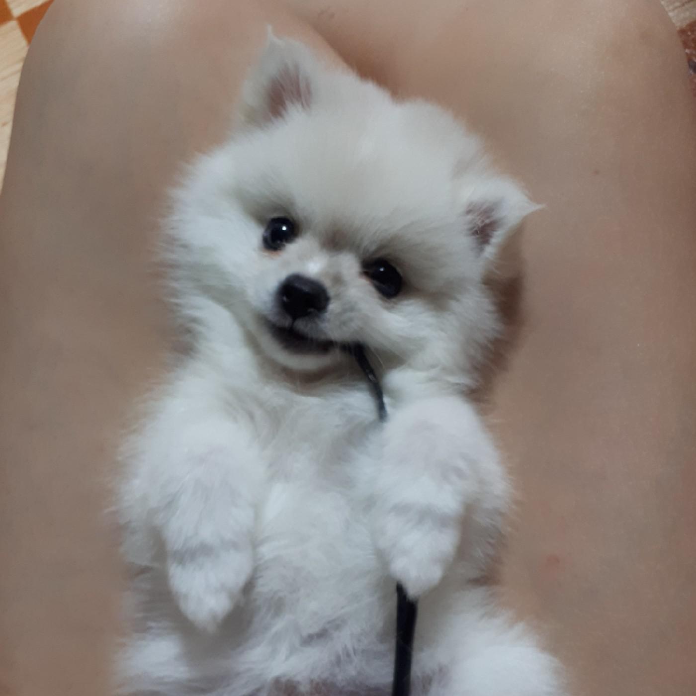 공실이이 프로필