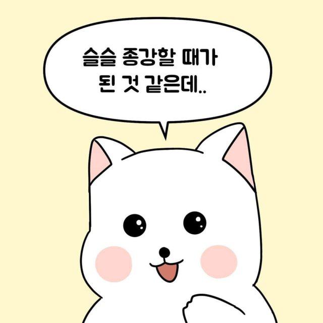 흰고미 프로필