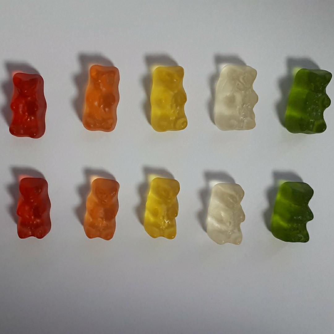 곰열마리 프로필