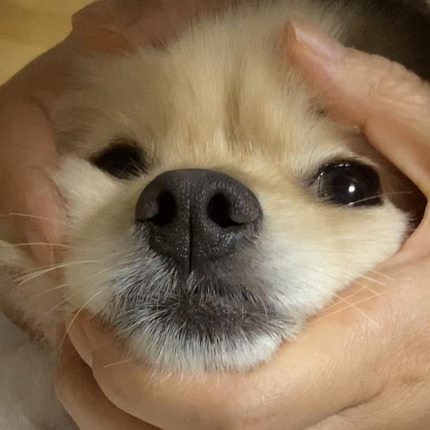 horanglee 프로필