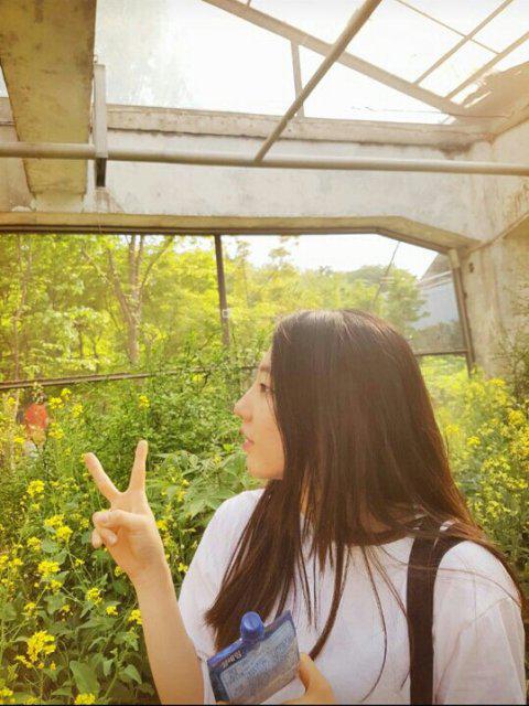 효댕이v 프로필