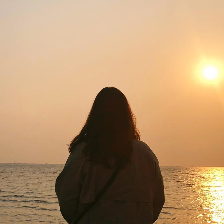 솔리테르 프로필