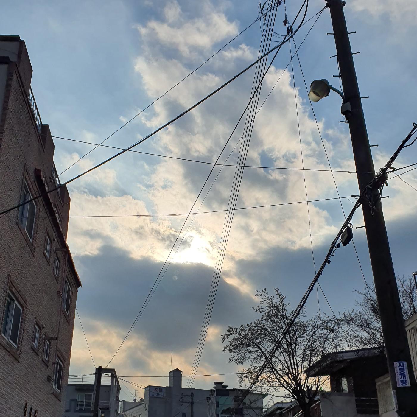 밍쓰그램 프로필