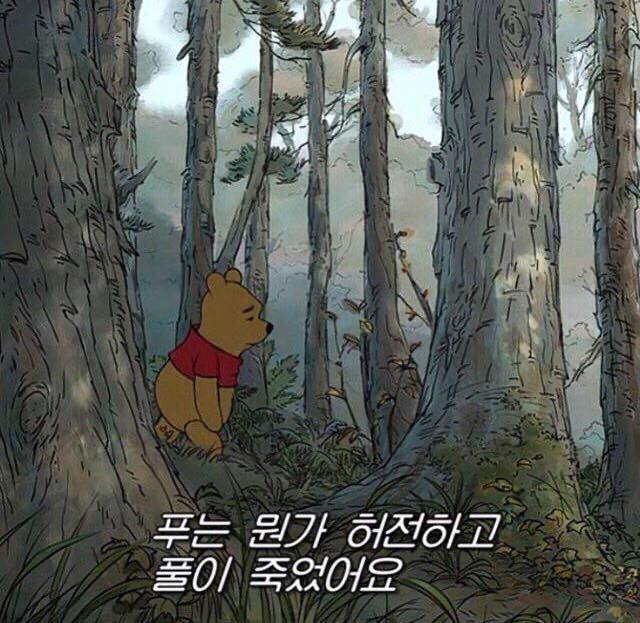 hoonii 프로필