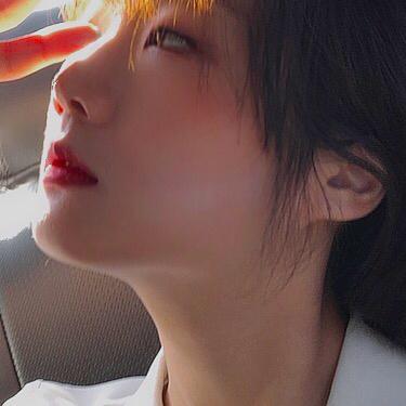 솔니첼 프로필