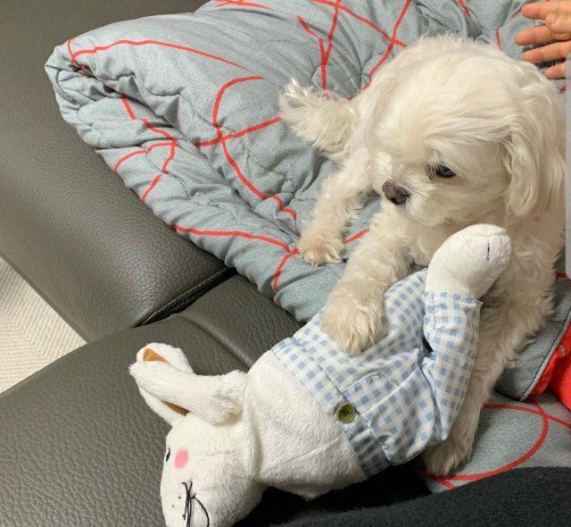 정뿌꾸22 프로필