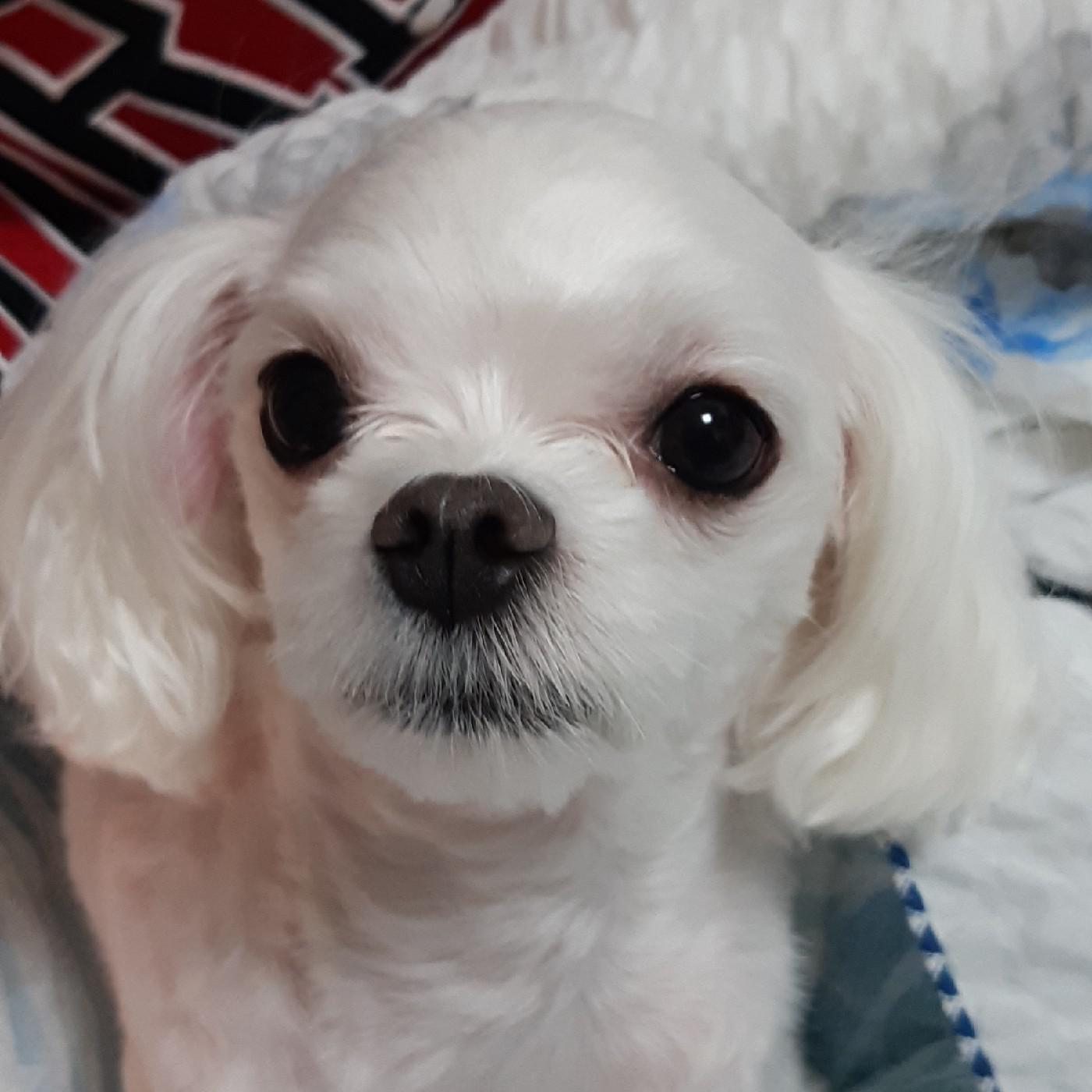 가은자 프로필
