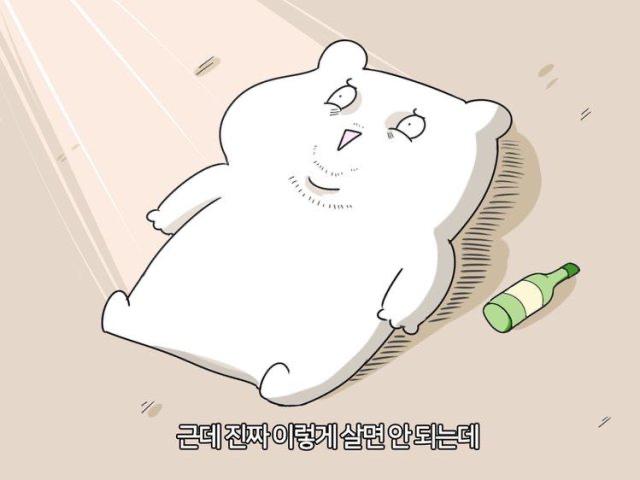 요고니? 프로필