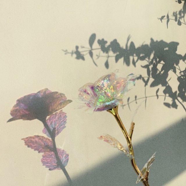리뷰어 프로필