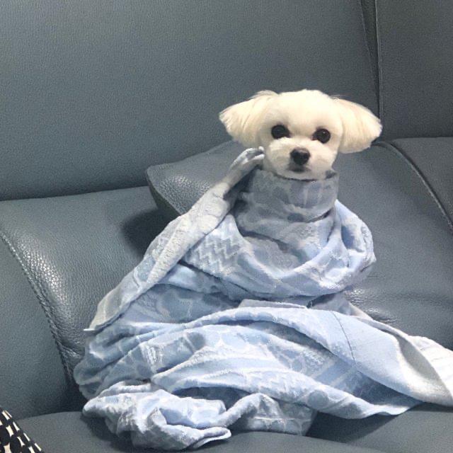 하은111 프로필