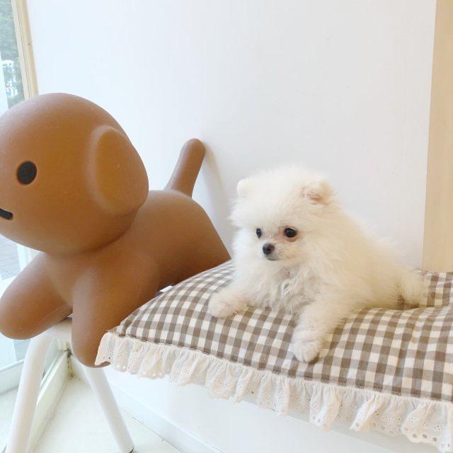 민조ㅑ 프로필