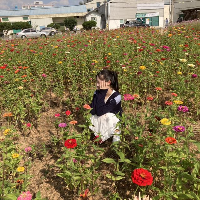 새아:) 프로필