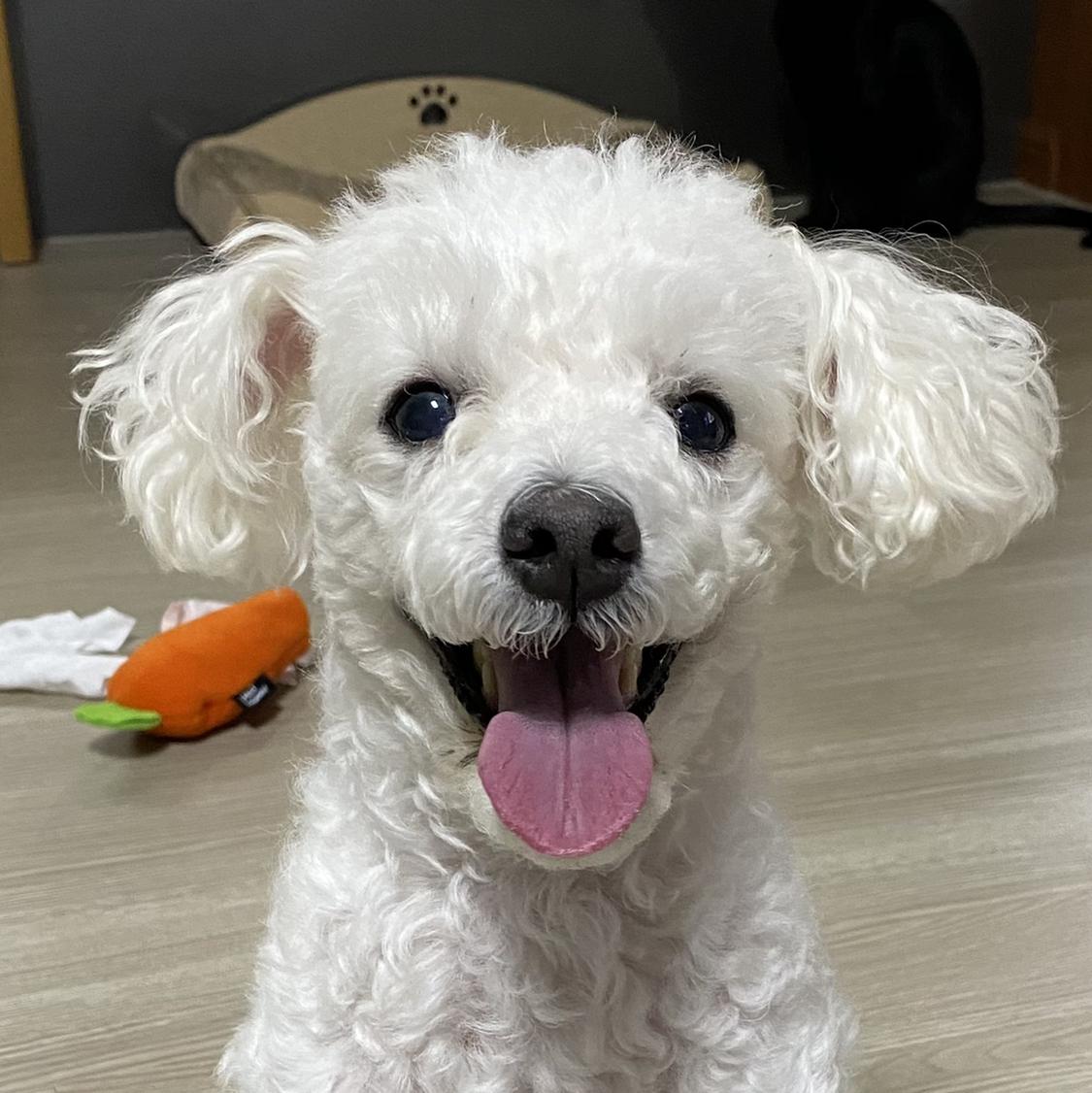 별르 프로필