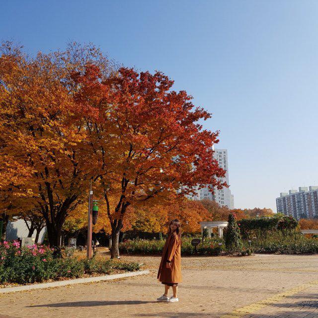 beaudooly 프로필