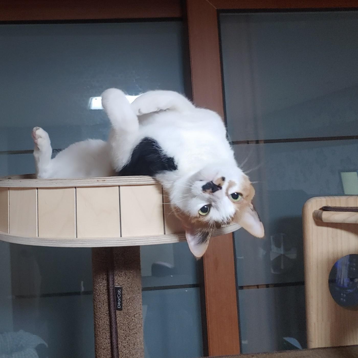 리뷰어 프로필