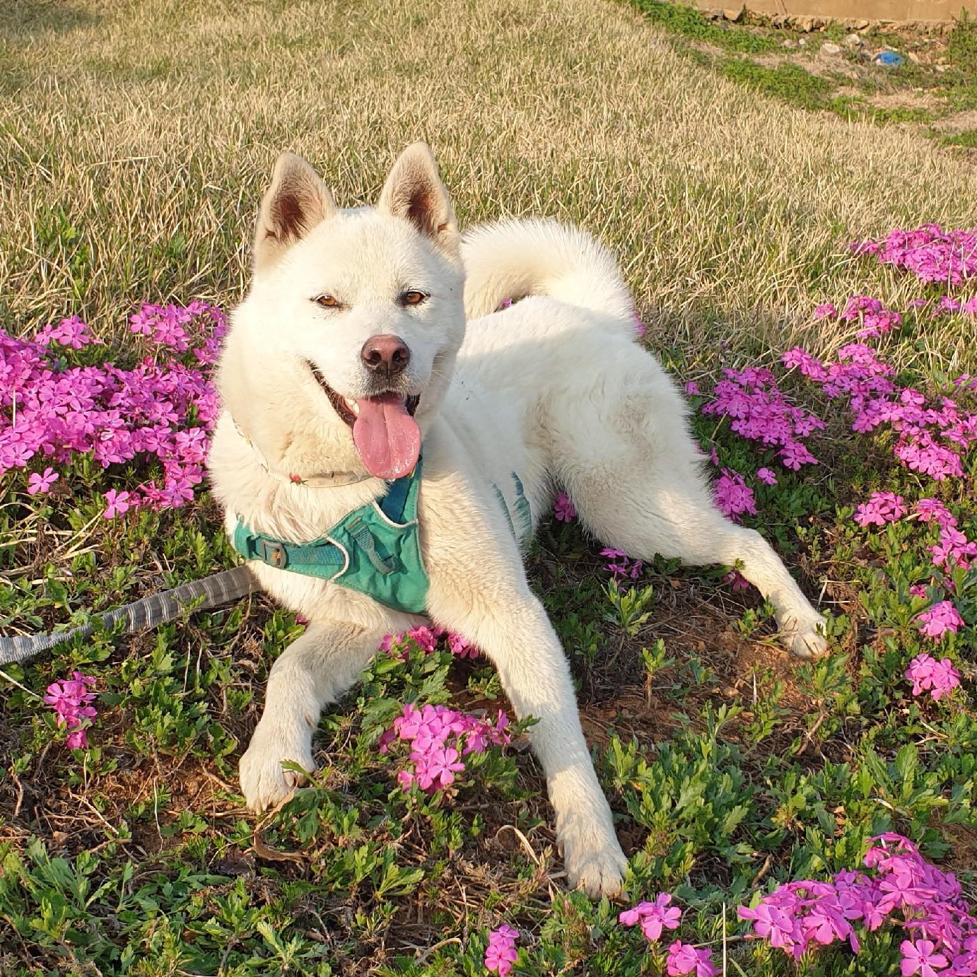 AnDanT 프로필