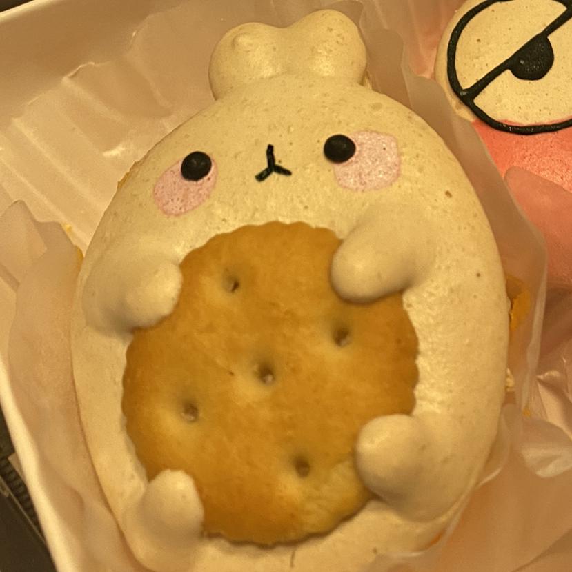 to깽이 프로필