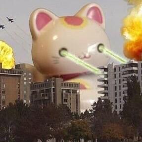 홍시곶감 프로필