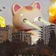 홍시곶감
