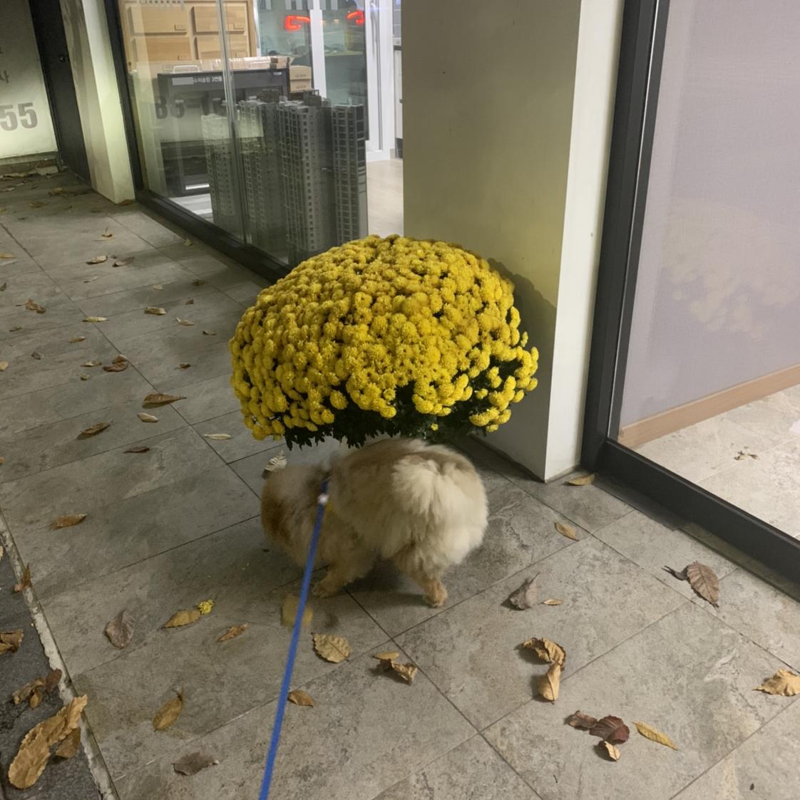 리뷰어 프로필
