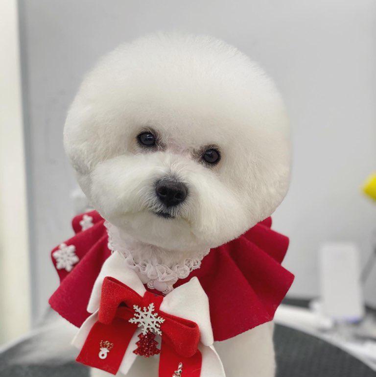 뿌니쁘니 프로필
