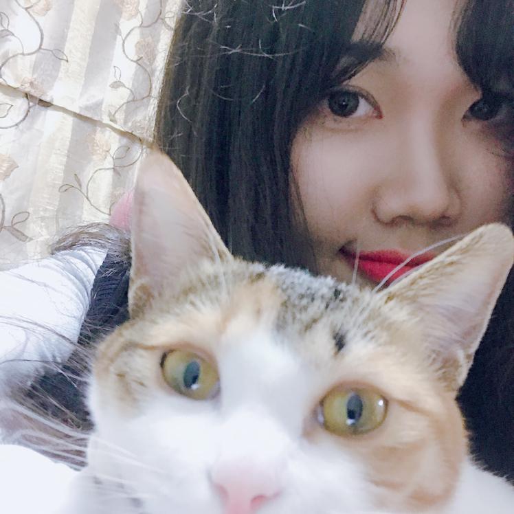 flus03 프로필