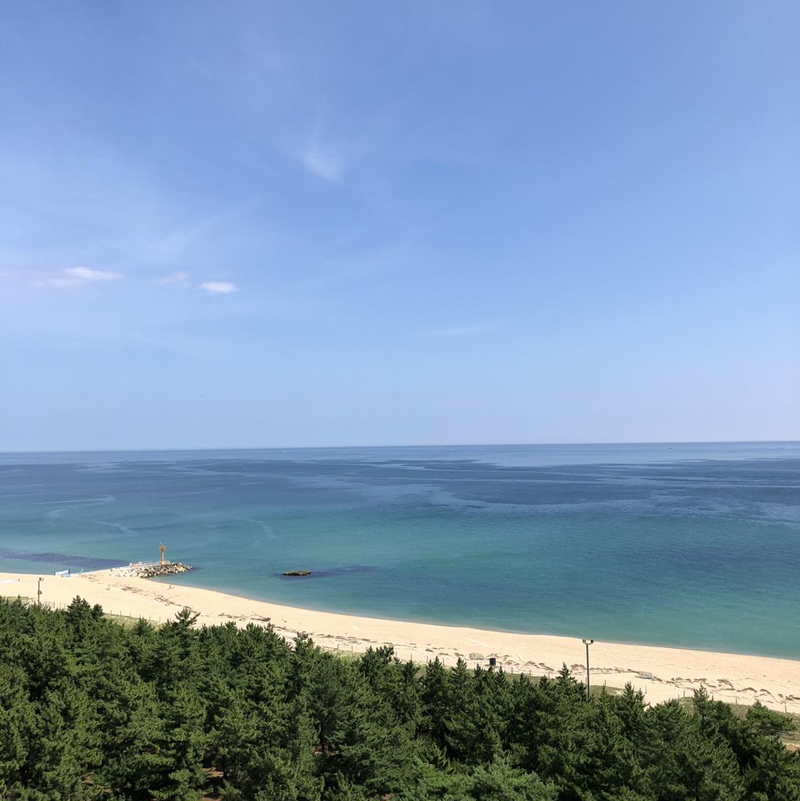 촉촉탱그르르 프로필