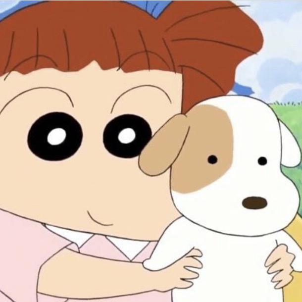 레드청귤 프로필
